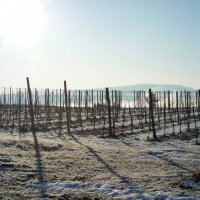 Cascina Piano Inverno